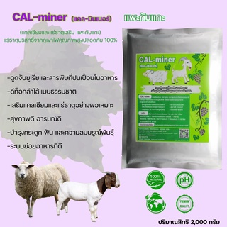 แคลมินเนอร์Cal-Miner2000กรัมอาหารเสริมแพะแกะ แคลเซียมและแร่ธาตุเสริมแพะแกะบริสุทธิ์จากธรรมชาติ สูตรเข้มข้นเกรดพิเศษ