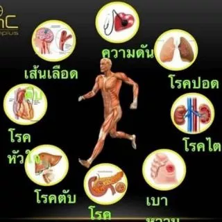 RD FRESH PLUS ของแท้ อาร์ดีเฟรชพลัส ผลิตใหม่ ไม่เก็บเก่า🍁จำกัดออเดอร์ละไม่เกิน6ขวด🍁