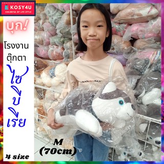 ✢▨ตุ๊กตา หมาไซบีเรียน 4ขนาด 70-105cm. นุ่มนิ่มลื่นไร้ขน งานปักแท้ ไซบีเรียน ของเล่น ตุ๊กตาตัวใหญ่ๆ ตุ๊กตาน่ารักๆ ตุ๊กตา�