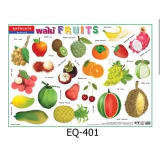 ผลไม้ Fruits EQ-401 สื่อโปสเตอร์ภาพ กระดาษ หุ้มพลาสติก