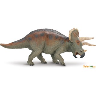 Safari Ltd. : SFR30005 โมเดลไดโนเสาร์ Triceratops