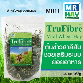 MR.HAY Vital Wheat Hay ต้นข้าวสาลีอ่อน สับขนาดพอดีคำ แหล่งอาหารอันโอชะตามธรรมชาติของหนูแฮมสเตอร์ MH11 (50g)