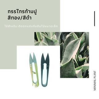 ✔️พร้อมส่ง🌱 กรรไกรก้ามปู ใช้สำหรับตัดตกแต่งต้นไม้ขนาดเล็ก ให้สวยงาม