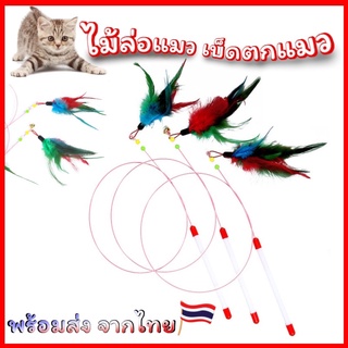 ของเล่นแมว ไม้ตกแมว ไม้ตกแมวแบบสปริง ไม้ล่อแมว พร้อมส่งจากไทย‼️‼️
