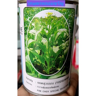 เมล็ดพันธุ์ ผักกาดกวางตุ้งดอก ยอดสุวรรณ🌱หมดอายุ08/2567🌱 บรรจุ400กรัม 🥦ผักกาดดอก ผักกาดกระจ้อน ผักกาดกวางตุ้ง