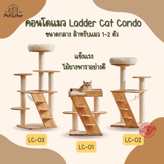 🐱 คอนโดแมว รุ่น Ladder คอนโดแมวสุดพรีเมี่ยม มาตรฐานส่งออก x Petsister