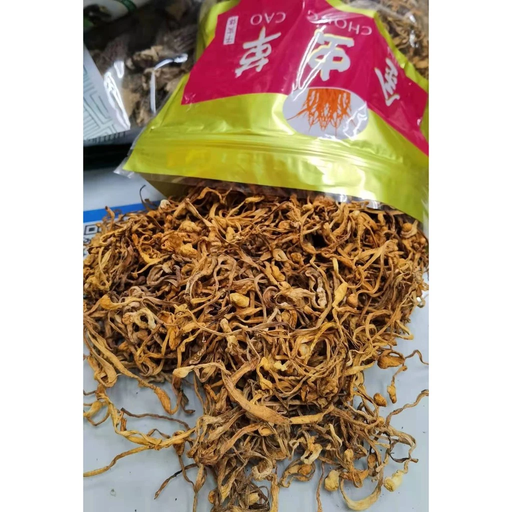 เห็ดถั่งเช่าสีทอง(虫草花) สมุนไพรบำรุงร่างกาย สามารถนำมาทำเป็นซุป หรือจะชงน้ำดื่มก็ได้ อร่อยและมีประโยชน์