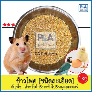 ข้าวโพดลูกนก_สำหรับสัตว์เลี้ยง นก ไก่ หนูแฮมเตอร์ [ชนิดแบ่งขาย 1กก] .