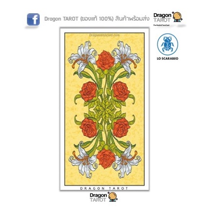 ไพ่ทาโรต์ Before Tarot Deck (ของแท้ 100%) สินค้าพร้อมส่ง ไพ่แท้ ร้าน Dragon TAROT ราคา ถูกที่สุด ดีลบีเคเค แกลเลอรีภาพที่ 6