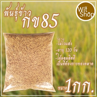 พันธุ์ข้าว กข85 ชุดแบ่งขายเพื่อทดลองปลูกเพื่อศึกษาขนาด 1 กก.