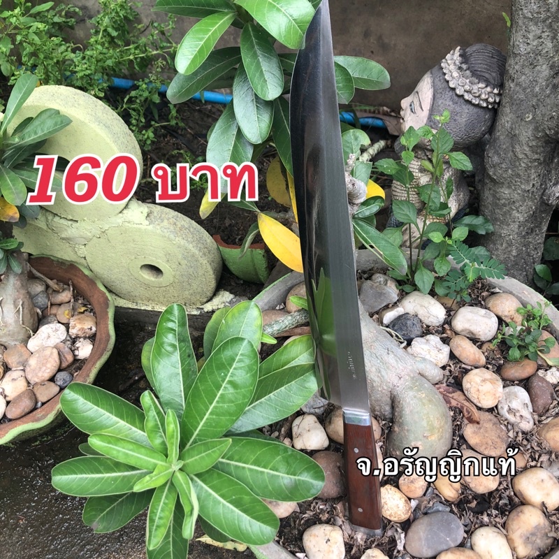 มีดสแตนเลส ปลายแหลม ใบมีดยาว 10.5 นิ้ว มีดอรัญญิก จ้อย อรัญญิกแท้