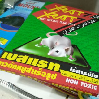 กาวดักหนู ไร้สารพิษ  non toxic XRAT เบสแรม  กำจัดหนู