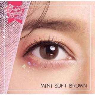 🔥คอนแทคเลนส์✨ขนาดมินิ✨Brown/Gray/Black ✨Mini soff (kittykawaii)