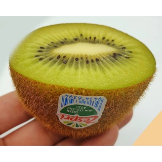 TOP-1กีวี่เขียว Green KIWI (1ลูก) (France/Greece/NewZealand) ~ลดพิเศษ~ กีวีเขียว นิวซีแลนด์ กีวี่สด ผลไม้กีวี่ Fruitage