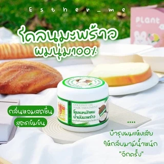 Coconut Oil Hair Treatment โคลนหมักผม น้ำมันมะพร้าว 300 กรัม ทรีสเม้นท์ บำรุงผม สำหรับการใช้งานที่หลากหลาย สระผม