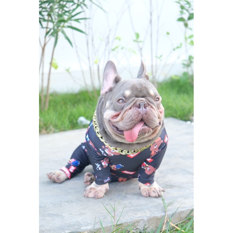 ชุดกันขนร่วงCrazydog black brown