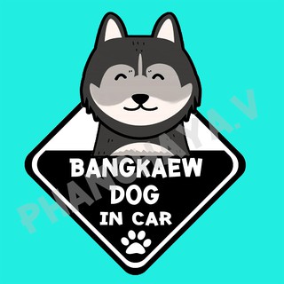 DIC60 สติ๊กเกอร์ ติดรถ หมาบางแก้ว Thai Bangkaew Dog In Car สติ๊กเกอร์ติดรถ car sticker