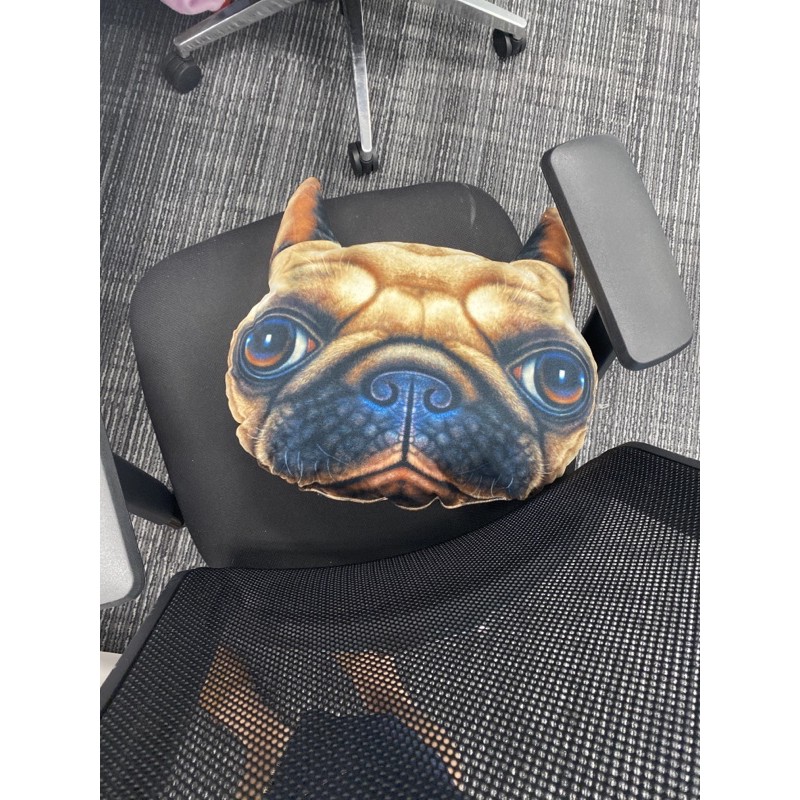 dog pillow with pug face