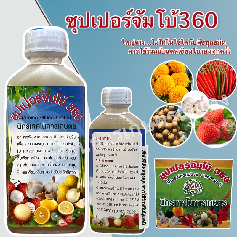 ซุปเปอจัมโบ้360 อะมิโน ช่วยขยายผลให้จัมโบ้ ดอกใหญ่ พ่นใน สตอเบอรี่ ลำไย เงาะ ลิ้นจี่ ดอกดาวเรือง