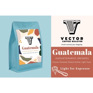 VECTOR : Guatemala SHB EP Huehuetenango Washed 200 กรัม คั่วระดับ Medium light