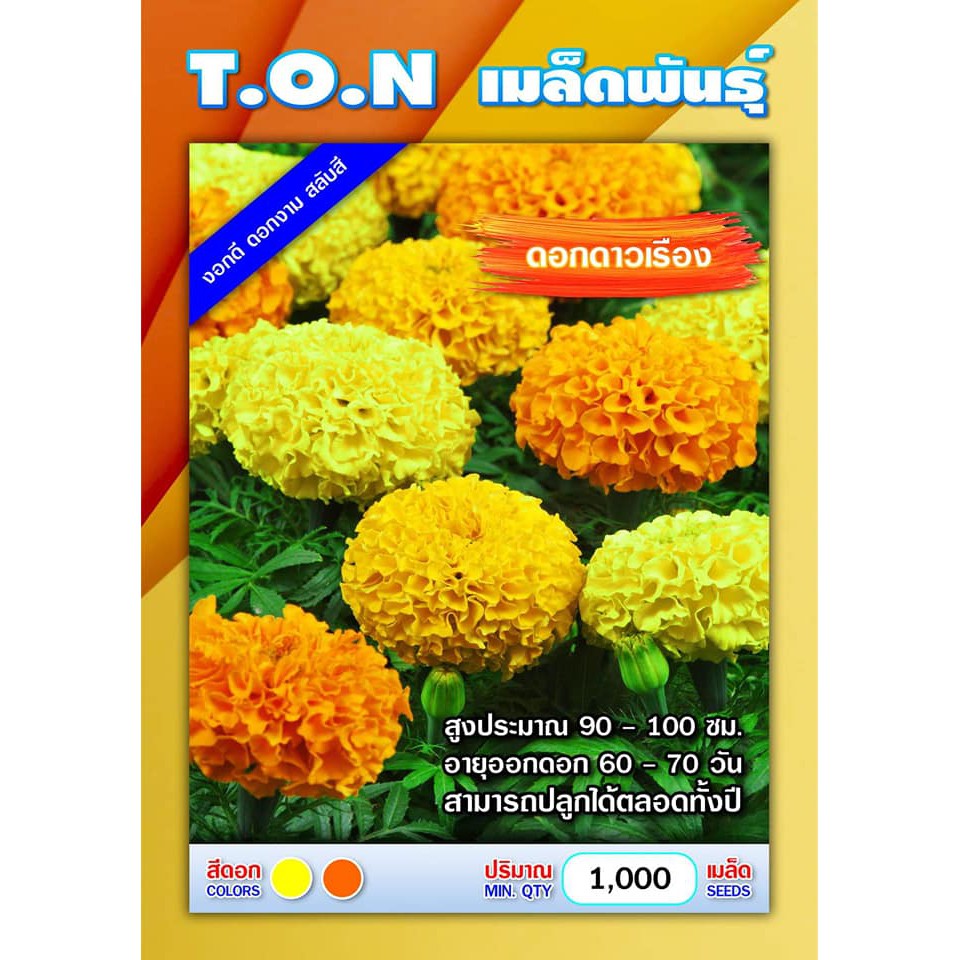 เมล็ดดอกดาวเรือง 500+ เมล็ด คัดเกรด ดอกใหญ่แน่น ส้ม เหลือง