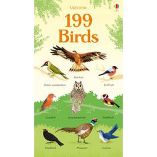 DKTODAY หนังสือ USBORNE 199 BIRDS (AGE 2+)