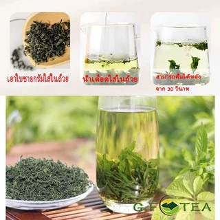 ชา ชาเจียวกู่หลาน ชาเจียวกู่หลานเกรดAAAAA ของใหม่ส่งตรงจากเชียงใหม่ ใบผสมก้าน พันธุ์หวาน ใบชาธรรมชาติ 绞股蓝