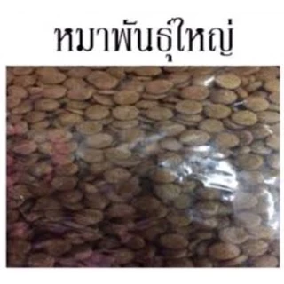 อาหารสุนัข Maxima (แม็กซิม่า) สำหรับพันธ์ใหญ่ แบ่งขายถุงละ 1 กิโล