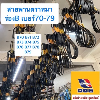 สายพานตราหมา ร่องB เบอร์70-79 / B70, B71, B72, B73, B74, B75, B76, B77, B78, B79