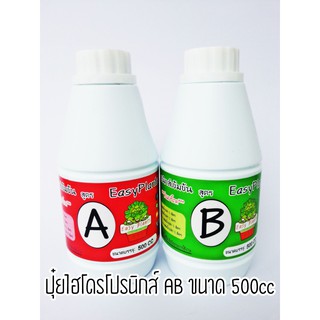 ปุ๋ยไฮโดรโปรนิกส์ ปุ๋ยน้ำ AB ขนาด 500cc. (0.5 ลิตร) ผักสลัด เคล กัญ พืชกินใบ ผักไทย