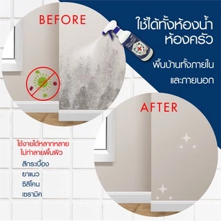 [SALE🔥] สเปรย์ขจัดเชื้อรา คราบสิ่งสกปรกผนัง กำแพง พื้นห้อง เฟอร์นิเจอร์