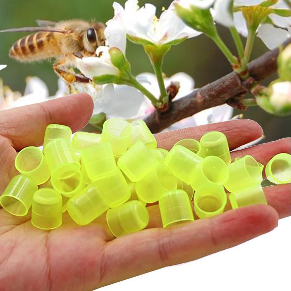 RATU Queen bee Egg Bowl ถ้วยเยลลี่ Queen Bee Egg Bowl Queen Bee Egg Bowl Jelly Cup Queen Loba Egg