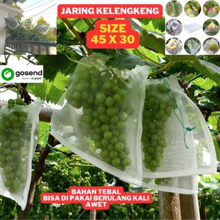 Net Jaring Pembungkus Buah Brongsong Kelengkeng Fruit cover