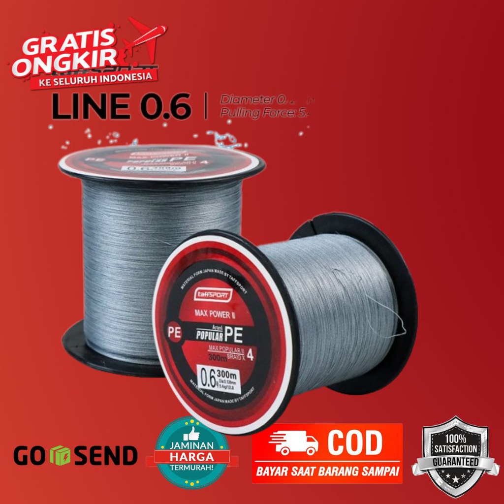 PE สายถักหนา 300M หมายเลขสาย 0.6 - BLTP - สีเทา