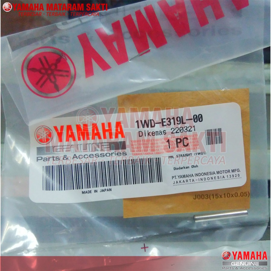 STRAIGHT PIN R25 (1WD-E319L-00)