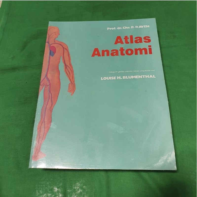 ATLAS ANATOMY Bridge