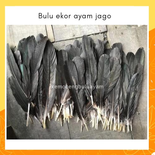 ขนนกหางไก่ตัวผู้เดิมยาว 13-22 ซม. 50 ชิ้น สีดํา