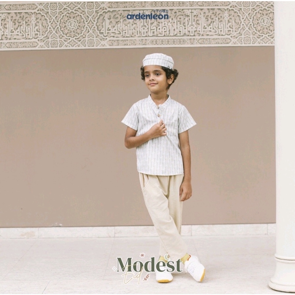 ชุด ARDENLEON Aslan*