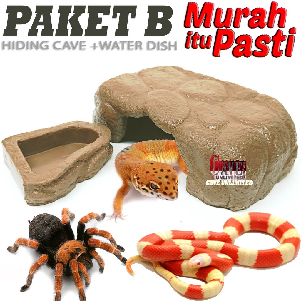แพคเกจ B HIDING PLACE CAVE HIDING PLACE CAVE HIDING PLACE Cave HIDING PLACE NEUMBPET PROTECTION + น้