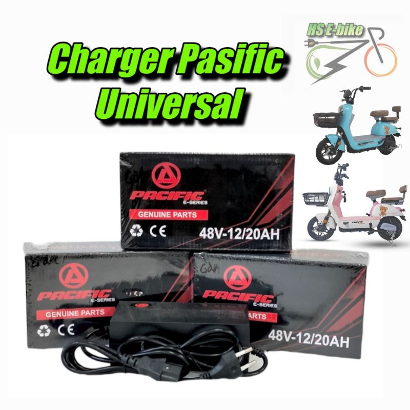 Universal ORIGINAL PACIFIC ELECTRIC BIKE CHARGER 48V12ah /20AH