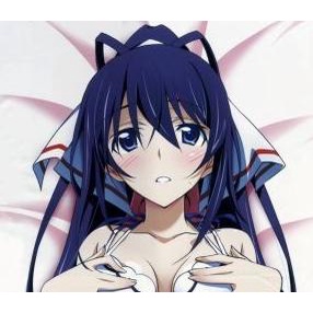 Fiw Anime Hug Pillow Case CODE: EA09 ( Dakimakura ) - Shinonono (IS)