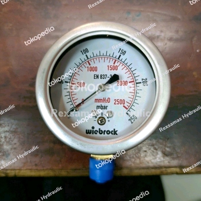 แรงดันต่ํา GAUGE 2.5 นิ้ว-250 MBAR-WIEBROCK RAKET