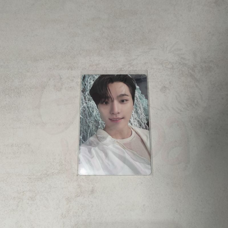 [พร้อม KKUMA] DINO SECTOR17 SEVENTEEN