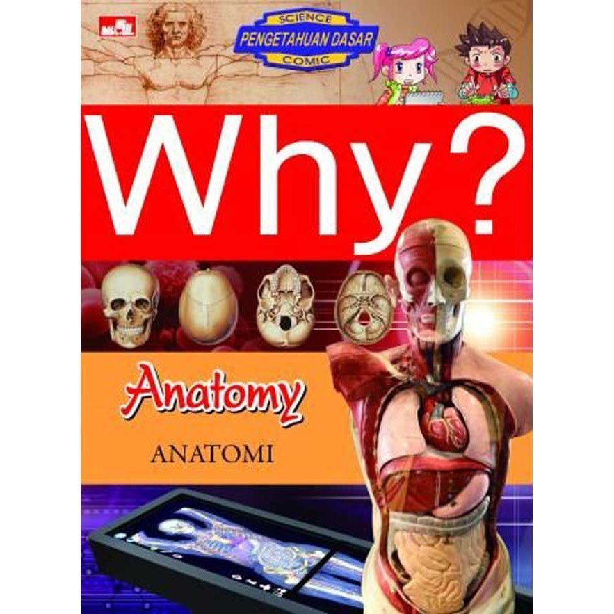 ไหน? ANATOMY (หนังสือเด็กล่าสุด)