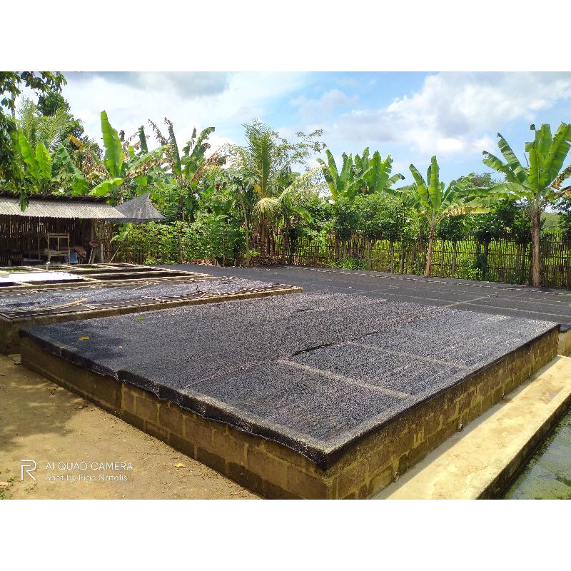 ลิงค์ co live tt****