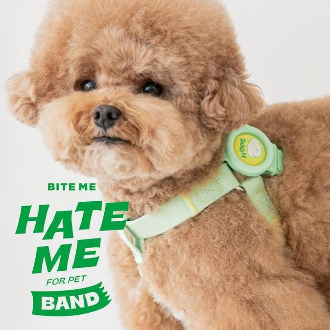 [บนเมฆ] Bite Me Hate Me Band