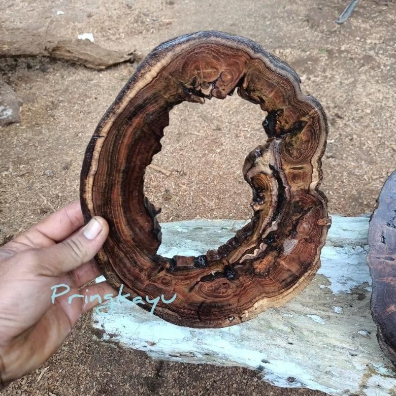 HOLLOW TEAK WOOD SLICE/DECORATION 25-28X2-2.5 ซม.