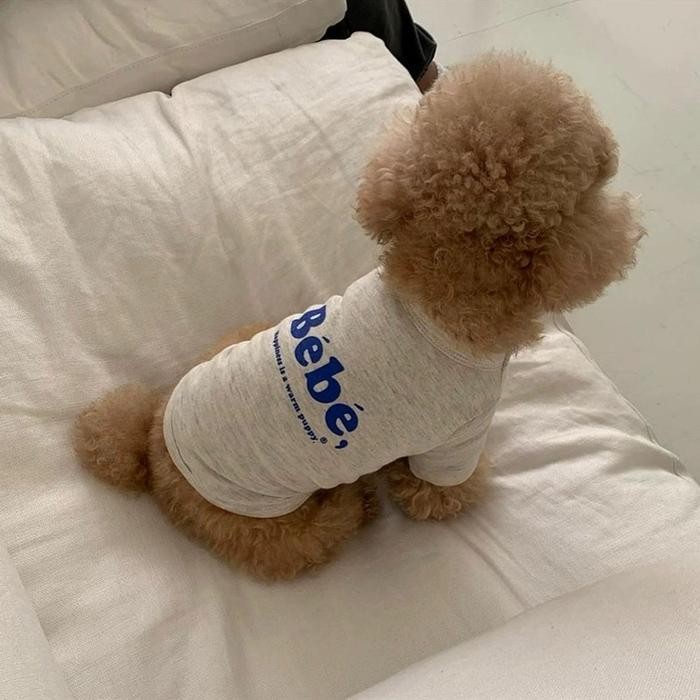 Bebe Korea Color Top (เสื้อผ้าสุนัขแมว)