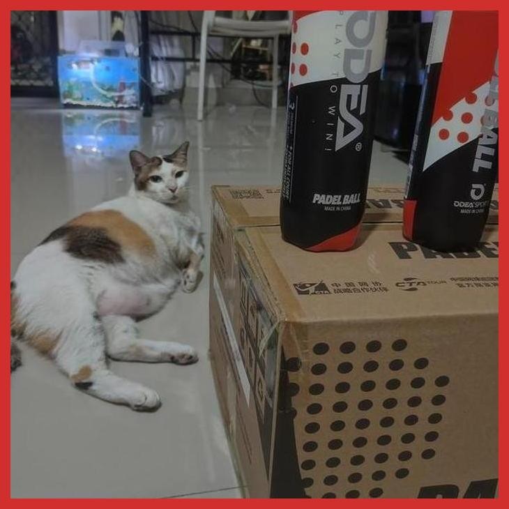 (PADEL) ORIGINAL ODEA PADEL BALLS CONTAINS 3 PADEL BALLS (ใหม่, VIRAL, CURRET SPORTS)