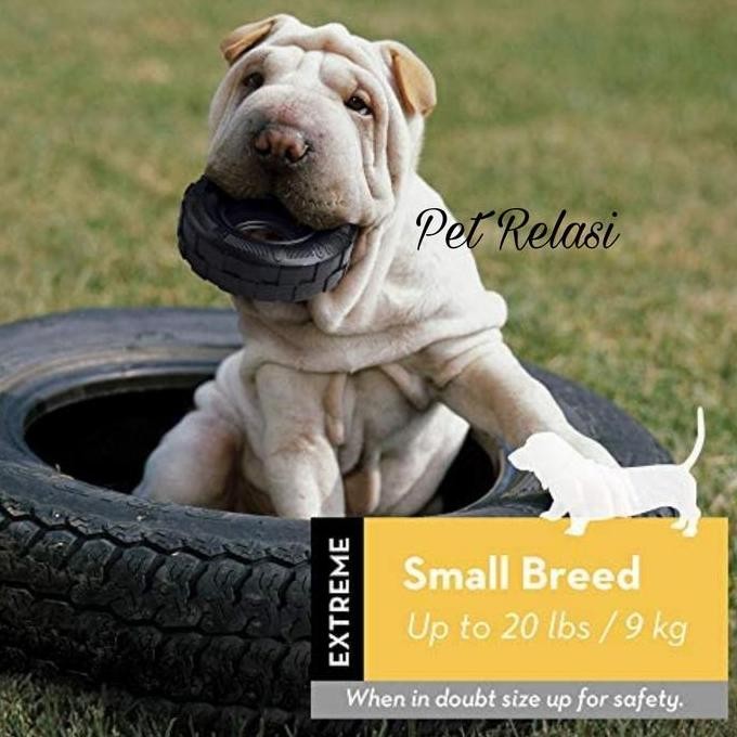 Kong Kt21 Extreme Rubber Small Dog Toy / Dog Bite